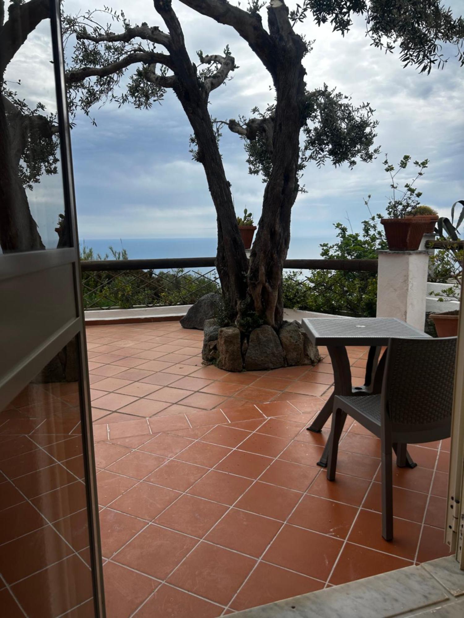 Hotel Punto Azzurro Forio  Екстер'єр фото